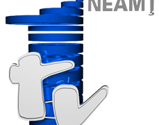 1TV Neamt Live