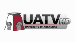 UA TV Live